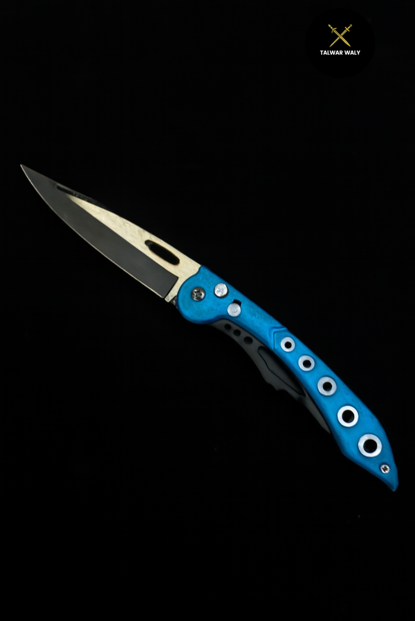 Stainless Steel Folding Knive