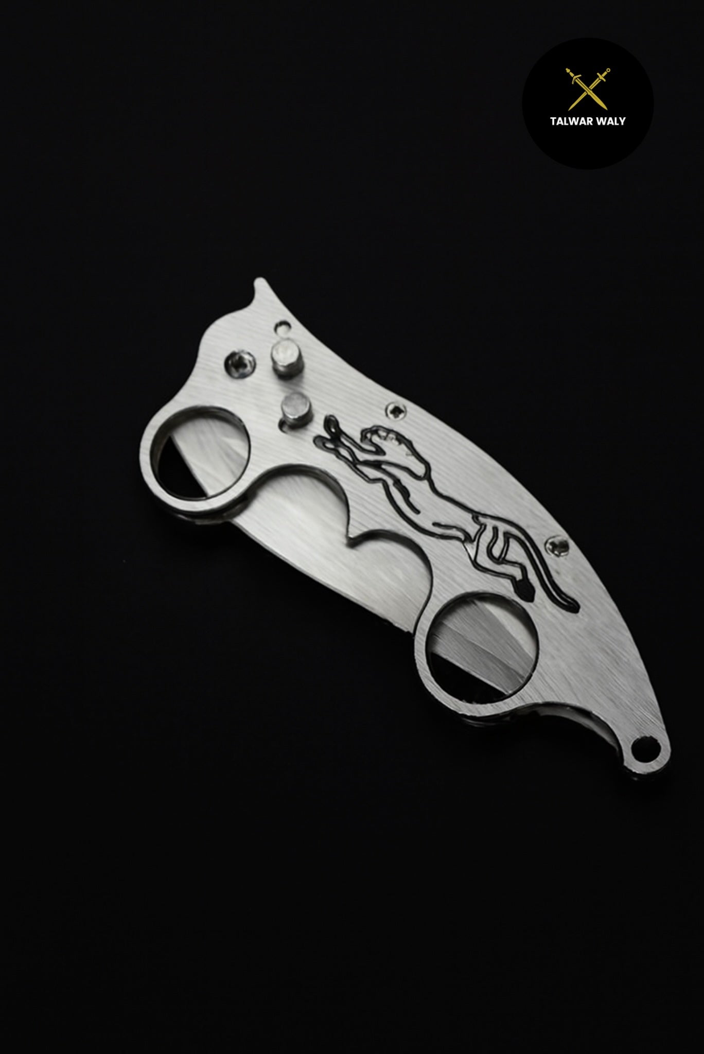 Stainless Steel Folding Knive