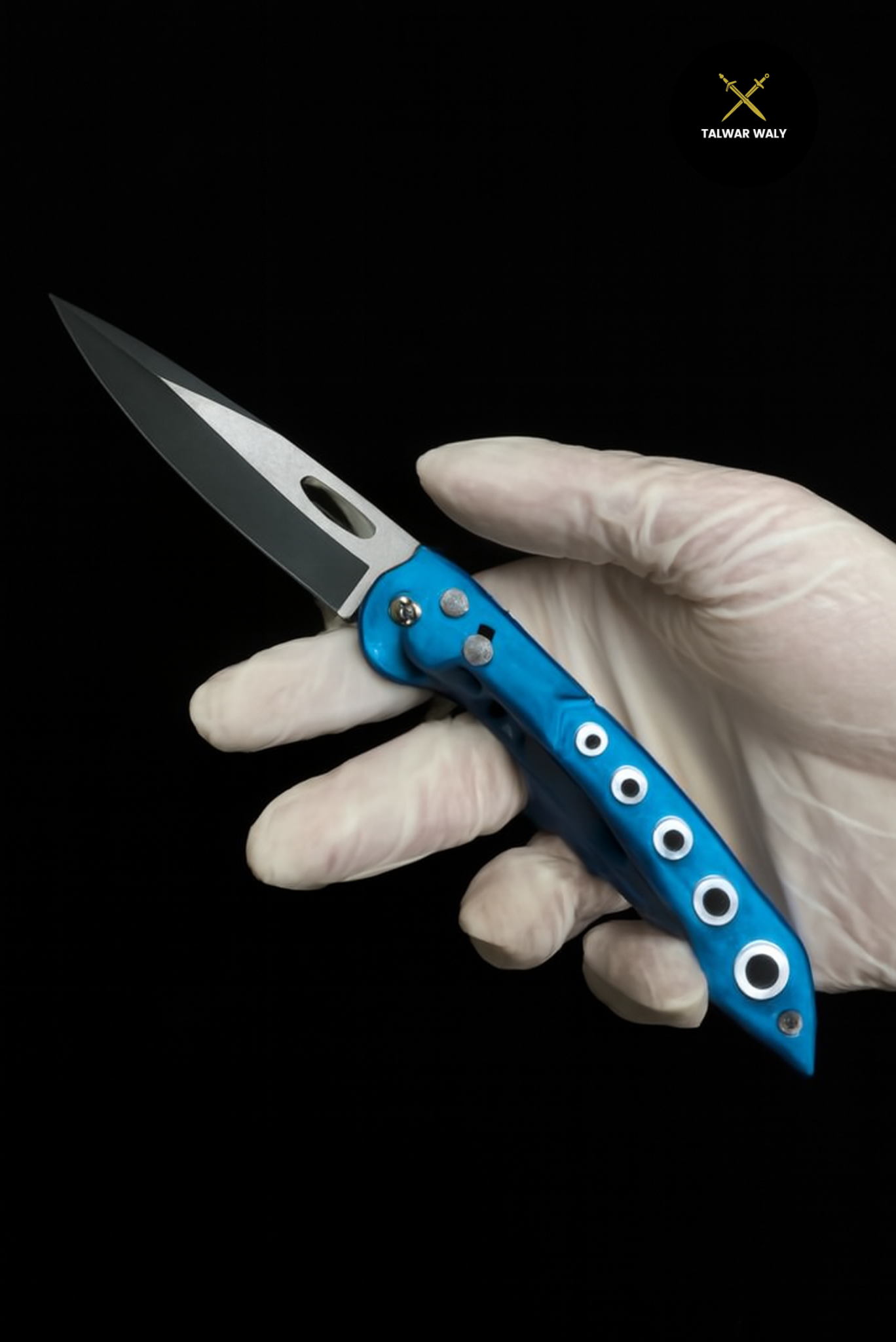 Stainless Steel Folding Knive