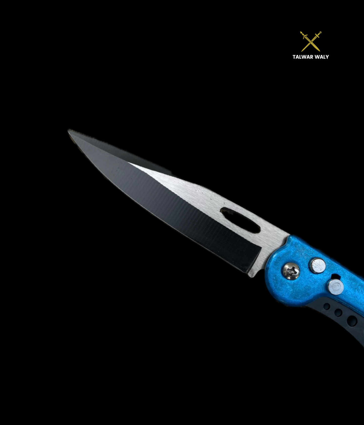 Stainless Steel Folding Knive