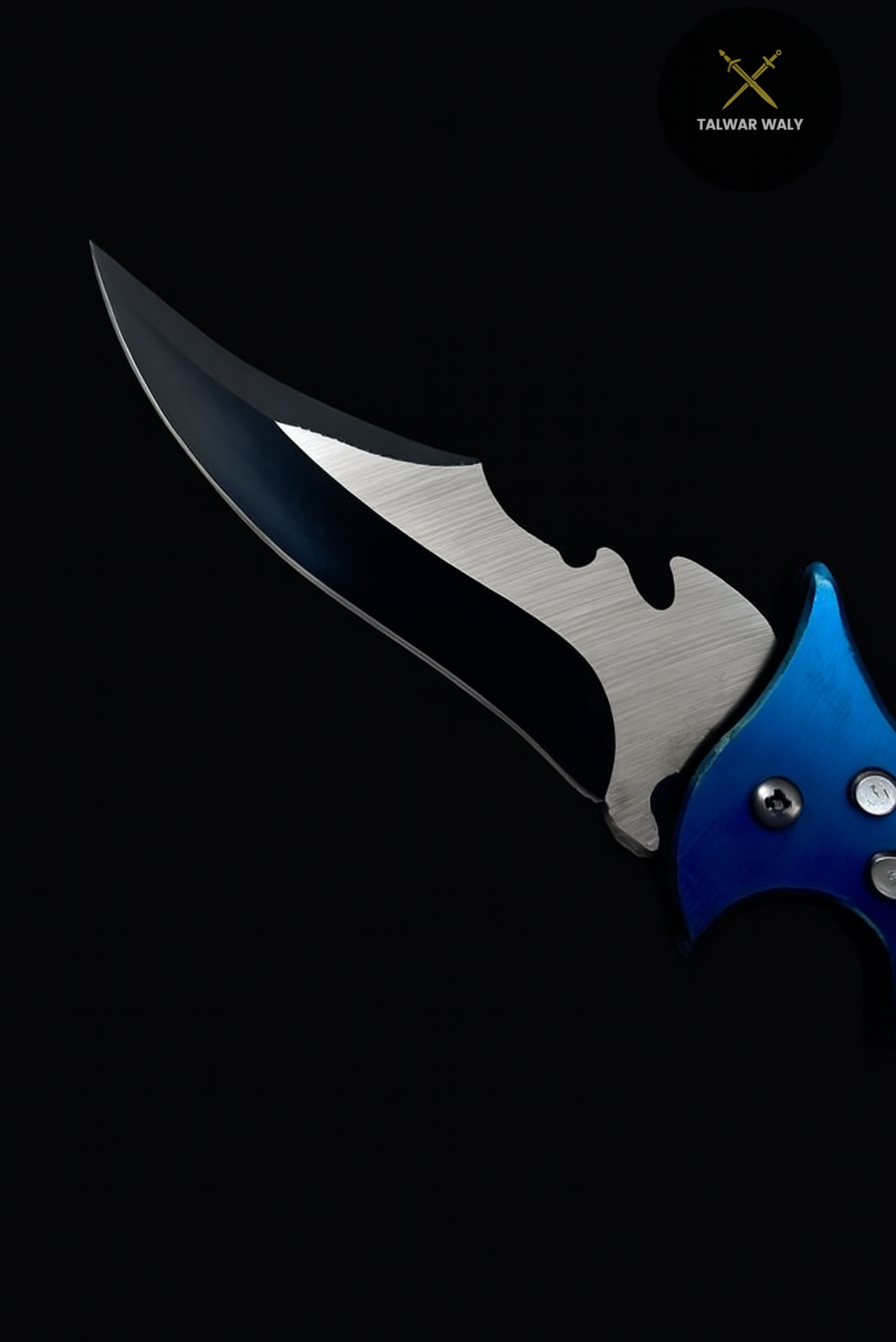 Stainless Steel Folding Knive